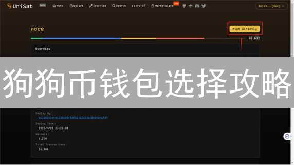 狗狗币钱包选择攻略：新手指南与安全秘籍