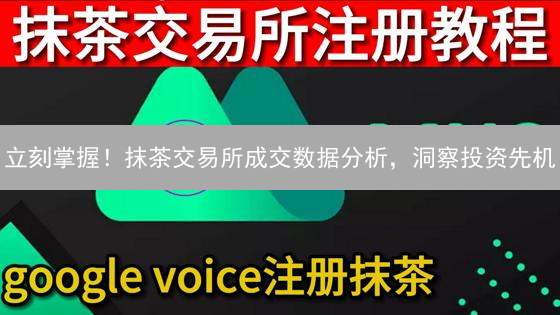 立刻掌握！抹茶交易所成交数据分析，洞察投资先机
