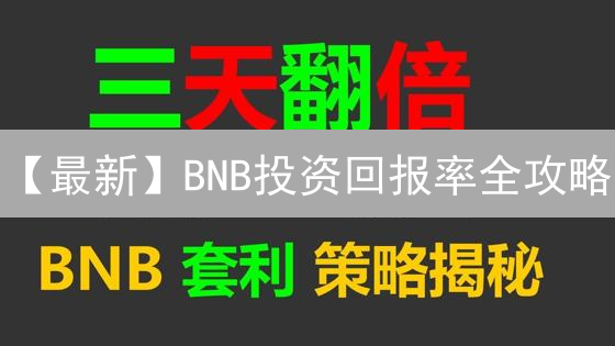 【最新】BNB投资回报率全攻略：多维度计算，抓住暴涨机会！