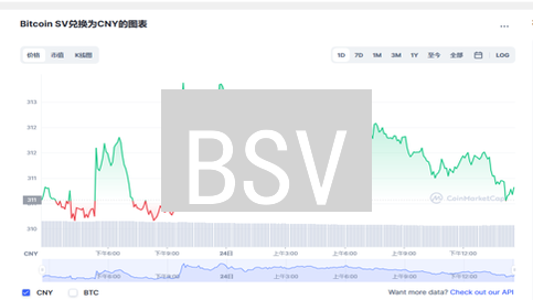 BSV：一场关于中本聪的数字货币“罗生门”？火币交易深度解析