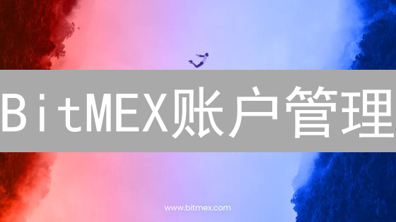 BitMEX账户管理：新手必看！资金安全与高级策略指南