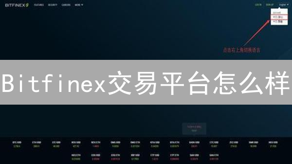 Bitfinex交易平台怎么样？新手如何快速上手？权威指南解读