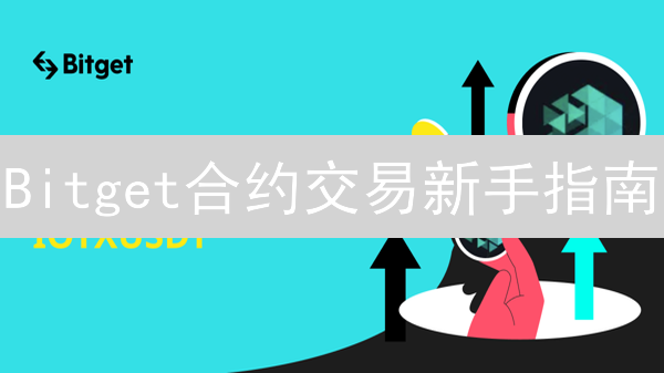 Bitget合约交易新手指南：权威解读与风险管理【2024最新】