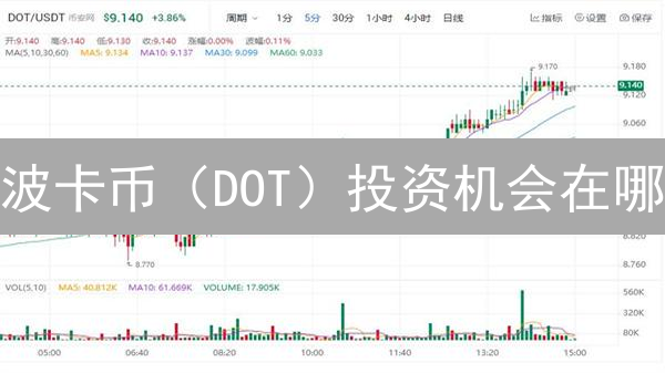 波卡币（DOT）投资机会在哪？三大交易对深度解析及未来趋势！