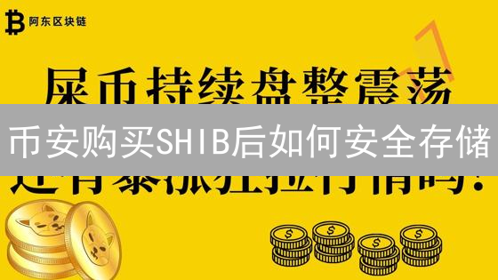 币安购买SHIB后如何安全存储？3招守护你的柴犬币