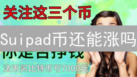 Suipad币还能涨吗？新手购买攻略大揭秘！