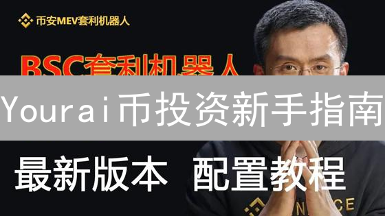 Yourai币投资新手指南：抓住机遇，还是暗藏风险？